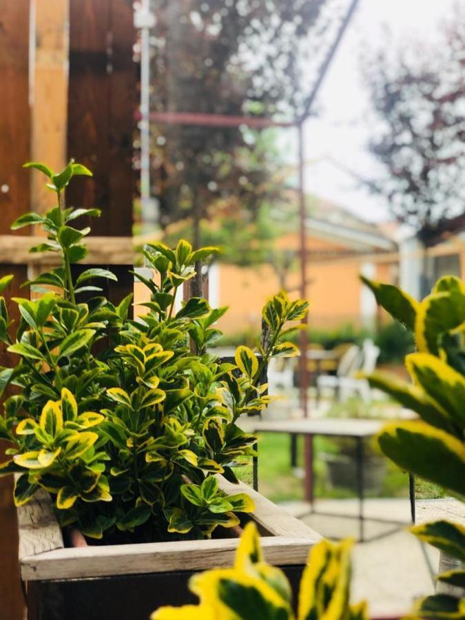 Dolce Nera B&B Narni Scalo Dış mekan fotoğraf